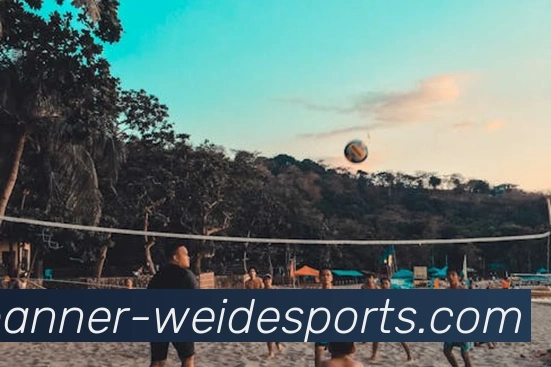 App Interface Preview