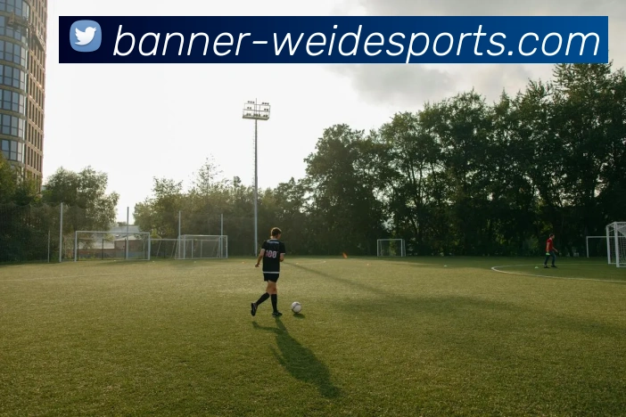 伟德体育APP 封面图